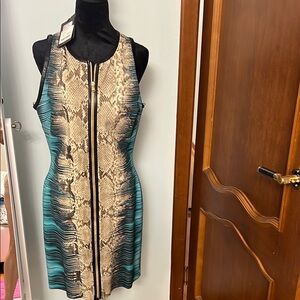 Roberto Cavalli Teal and Beige Snake Print Dress